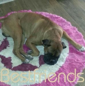 Meet your Posher, Punkinette